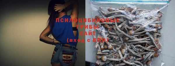 мяу мяу мука Алексин